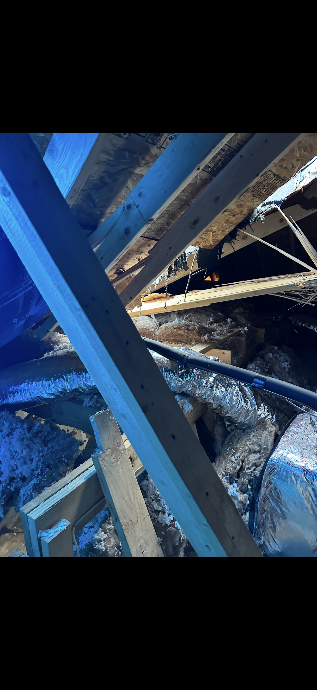 Interior attic view of storm-damaged roof structure with blue tarp and insulation